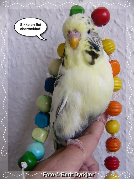 Images: 003_legetoej_09.jpg Images: 003_legetoej_09.jpg