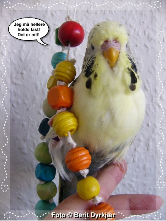 Images: 004_legetoej_09.jpg Images: 004_legetoej_09.jpg