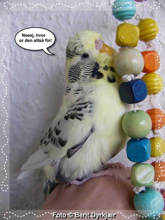 Images: 005_legetoej_09.jpg Images: 005_legetoej_09.jpg