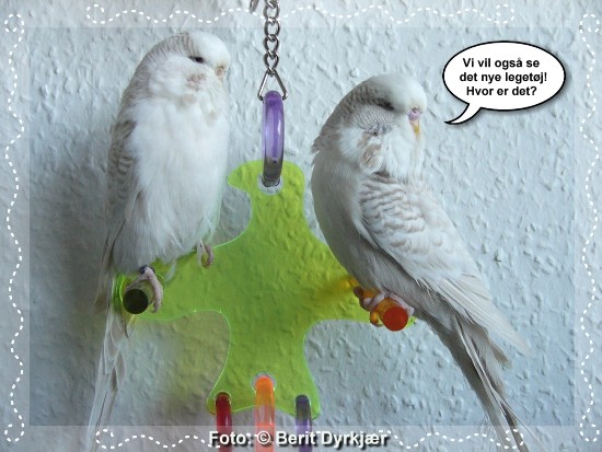 Images: 007_legetoej_09.jpg Images: 007_legetoej_09.jpg