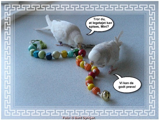 Images: 008_legetoej_09.jpg Images: 008_legetoej_09.jpg