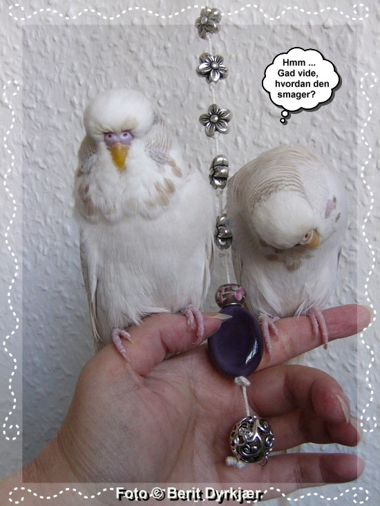 Images: 009_legetoej_09.jpg Images: 009_legetoej_09.jpg