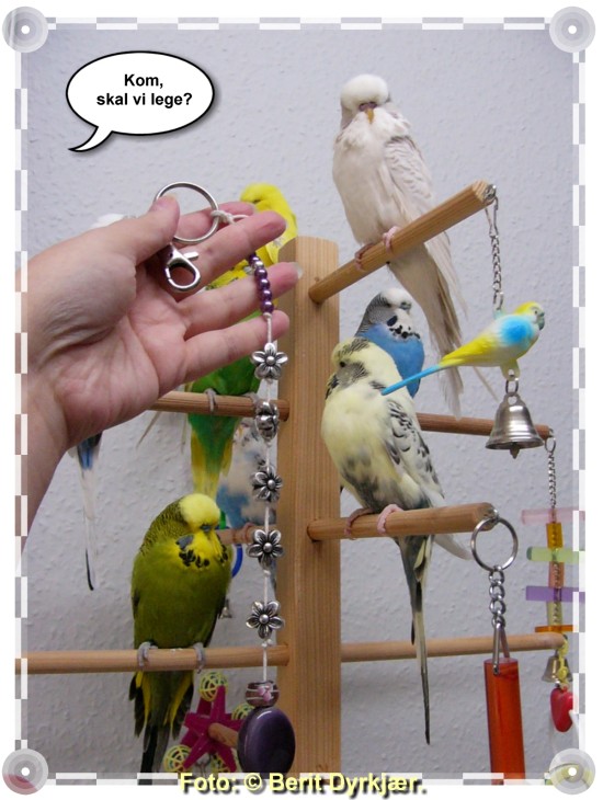 Images: 011_legetoej_09.jpg Images: 011_legetoej_09.jpg