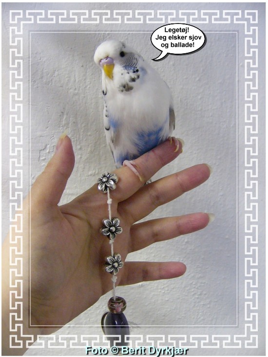 Images: 012_legetoej_09.jpg Images: 012_legetoej_09.jpg