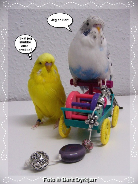 Images: 013_legetoej_09.jpg Images: 013_legetoej_09.jpg