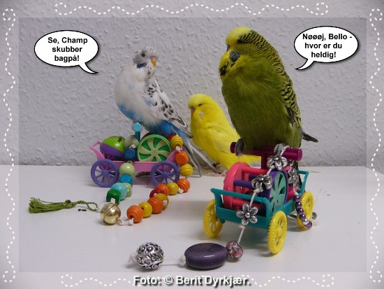 Images: 014_legetoej_09.jpg Images: 014_legetoej_09.jpg