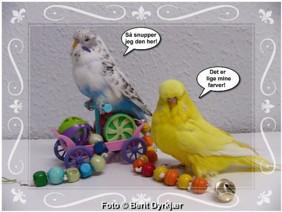 Images: 015_legetoej_09.jpg Images: 015_legetoej_09.jpg