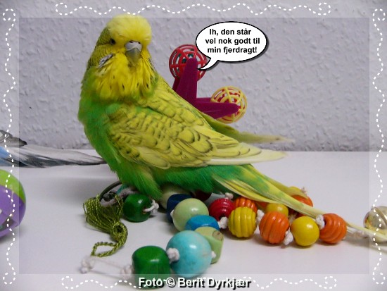 Images: 016_legetoej_09.jpg Images: 016_legetoej_09.jpg