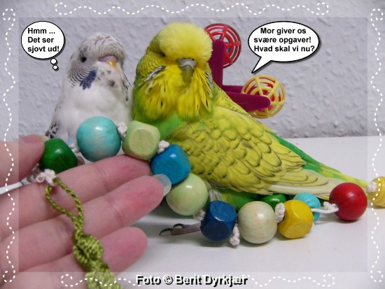 Images: 017_legetoej_09.jpg Images: 017_legetoej_09.jpg