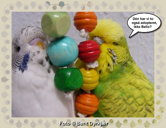 Images: 018_legetoej_09.jpg Images: 018_legetoej_09.jpg