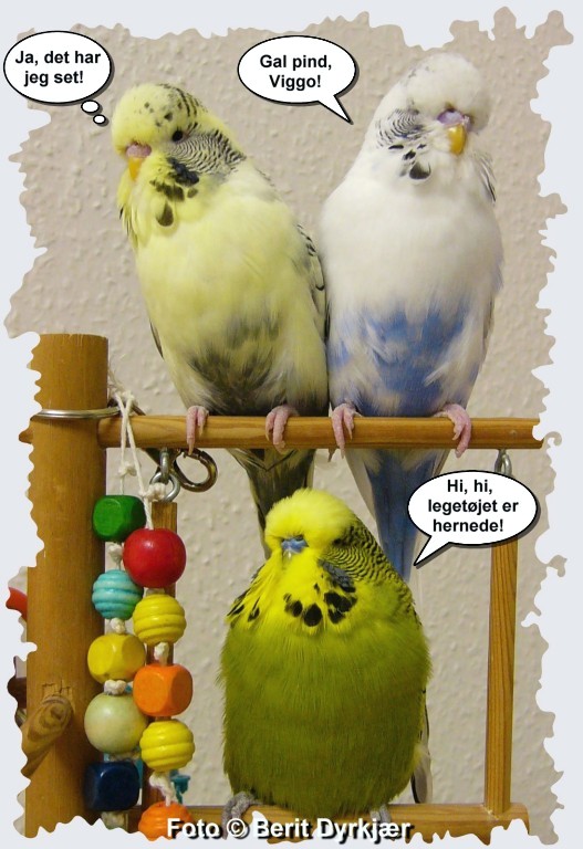 Images: 021_legetoej_09.jpg Images: 021_legetoej_09.jpg