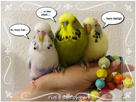 Images: 022_legetoej_09.jpg Images: 022_legetoej_09.jpg